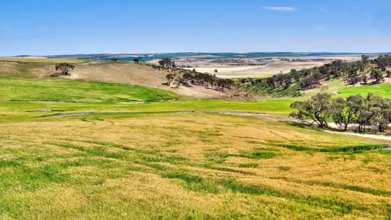 Main view of Homely rural property listing, "Twin Valleys" Yacka - Andrews Road, Yacka SA 5470