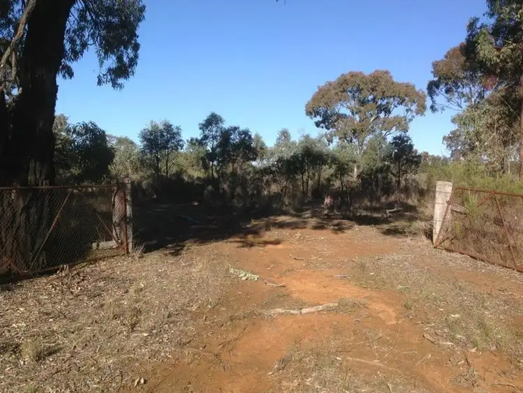 Seventh view of Homely rural property listing, Lot 4 North Pine Creek, Coonabarabran NSW 2357