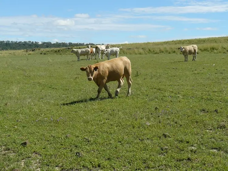 Fourth view of Homely rural property listing, Address available on request