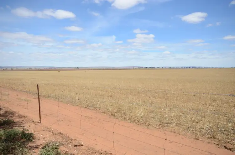 Fifth view of Homely rural property listing, "Tiroroa" Blyth Road, Blyth SA 5462