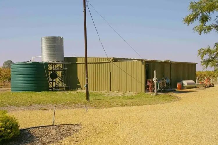 Seventh view of Homely house listing, 31 Wren Street, Renmark SA 5341