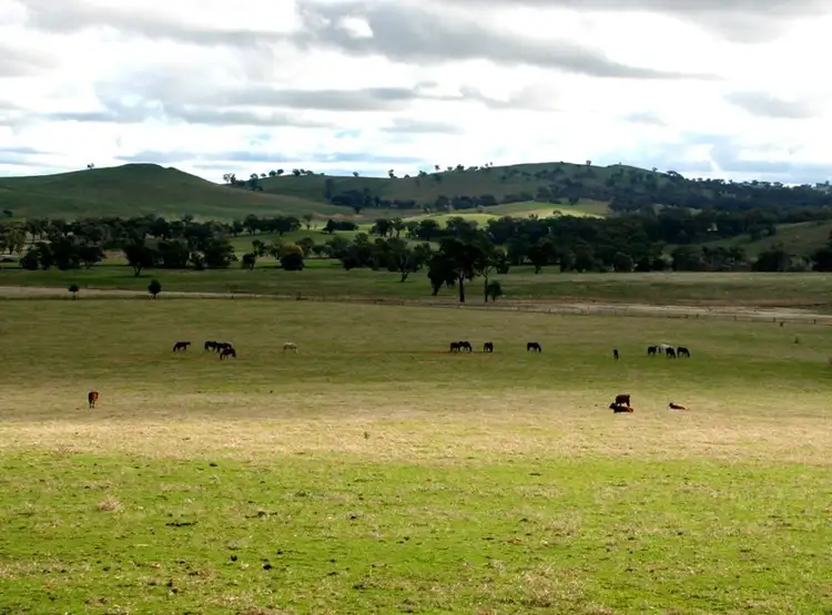 Main view of Homely rural property listing, Address available on request