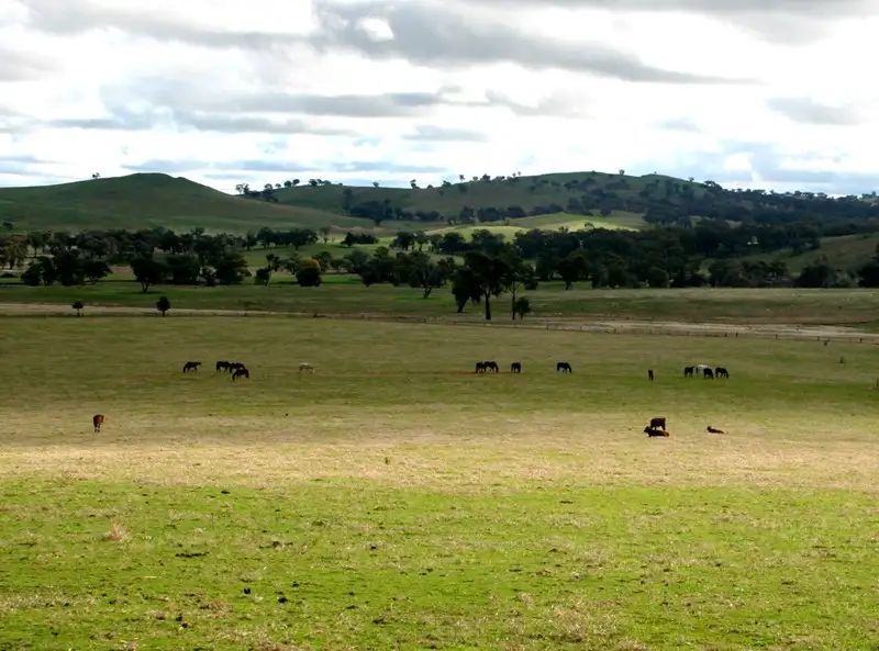 Main view of Homely rural property listing, Address available on request