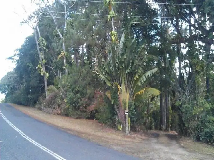 Third view of Homely house listing, 138 EULUMA CREEK Road, Julatten QLD 4871