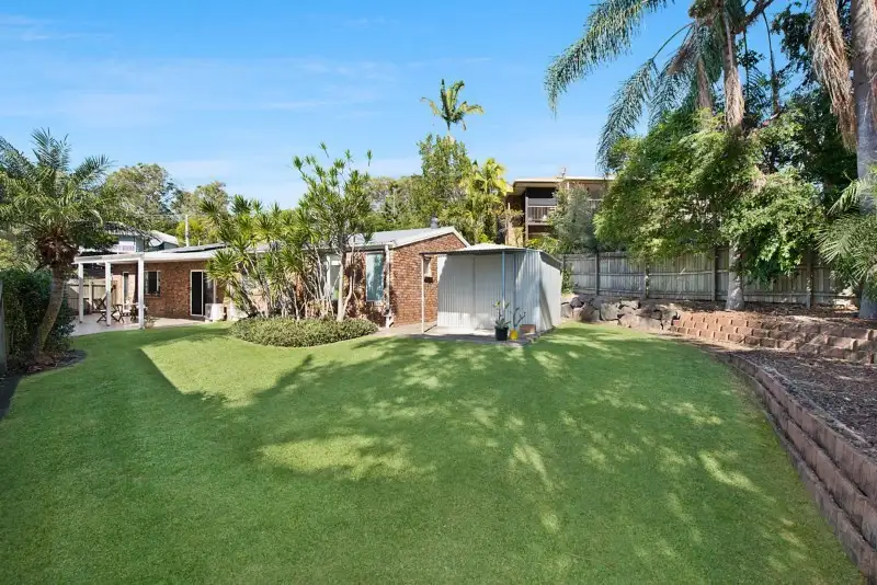 Main view of Homely house listing, 19 Nirvana Crescent, Buderim QLD 4556