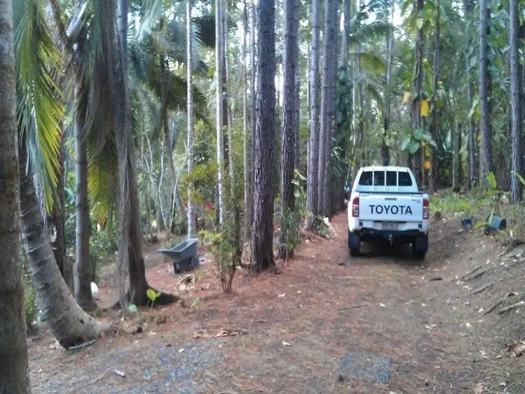 Sixth view of Homely house listing, 138 EULUMA CREEK Road, Julatten QLD 4871