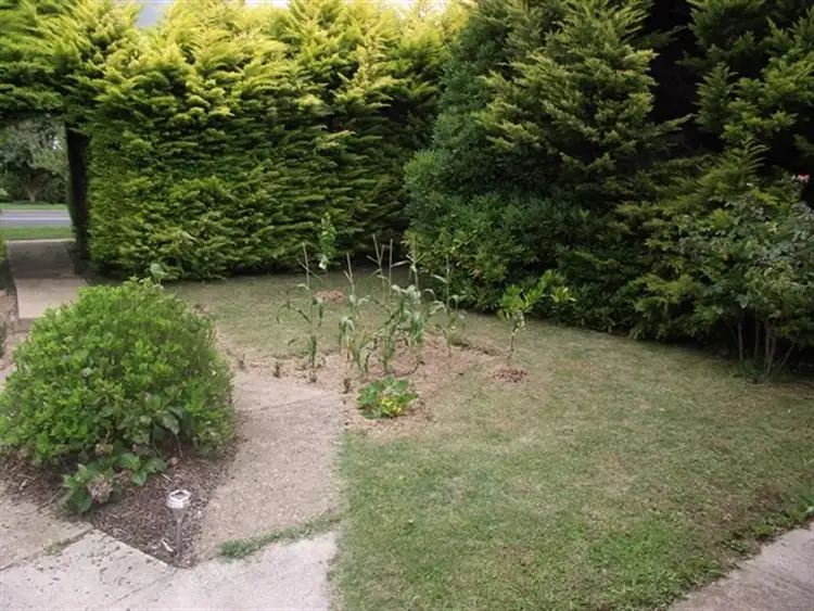 Seventh view of Homely house listing, Address available on request