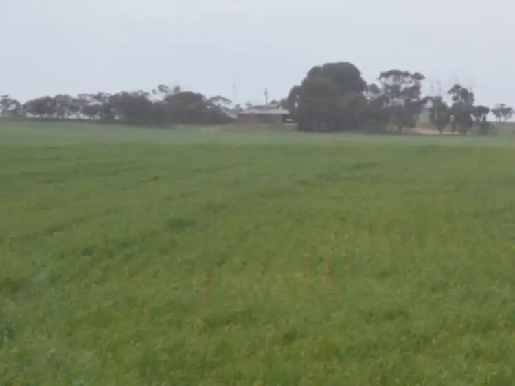 Sixth view of Homely rural property listing, 856 Parrakie North Road, Parrakie SA 5301