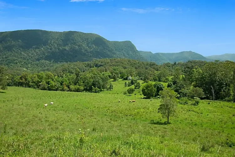 Main view of Homely rural property listing, 94 Starlight Way, Tyalgum NSW 2484