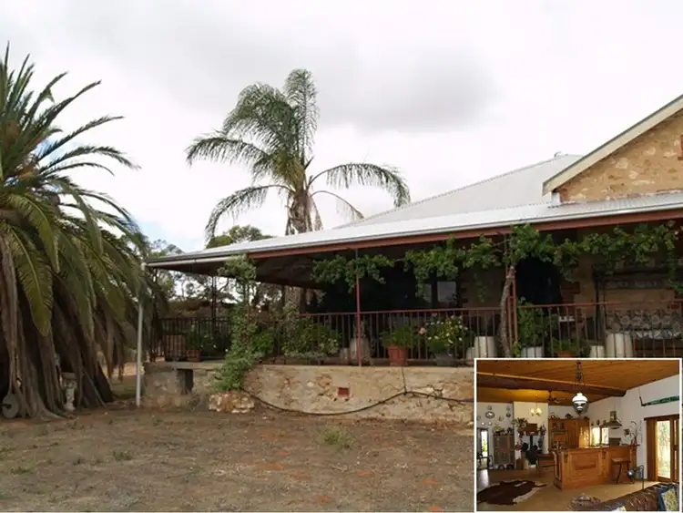 Lot 56 Mackintosh Road, Cadell SA 5321