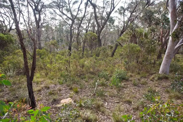 Third view of Homely land listing, Block 11 - Lot 170 and 128 DP 16449 - 46 Godson Avenue, Blackheath NSW 2785