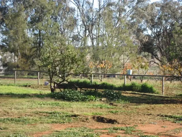 Second view of Homely land listing, 876 Boundary Road, Young NSW 2594