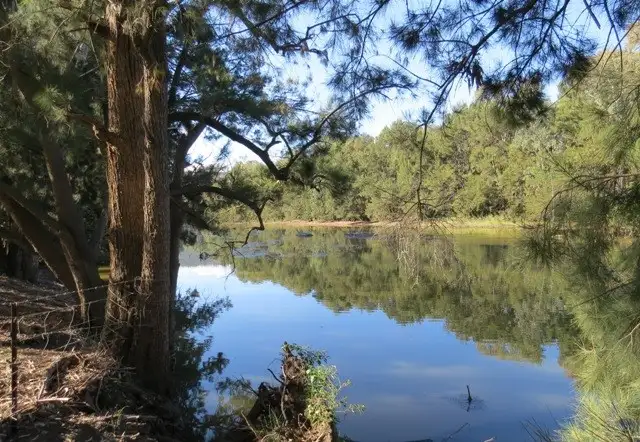 Fourth view of Homely rural property listing, 185 Trout Farm Road, Wyangala NSW 2808