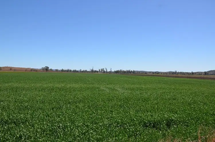 Seventh view of Homely rural property listing, 173 Macaulay Road, Tansey QLD 4601