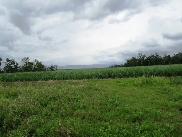 Seventh view of Homely land listing, Lot 163 Raes Road, Abergowrie QLD 4850
