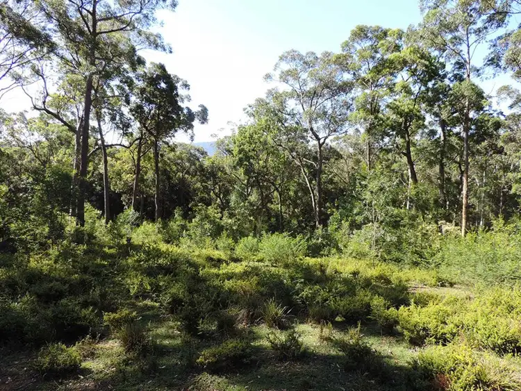 Second view of Homely land listing, 470 Bugong Road, Tapitallee NSW 2540