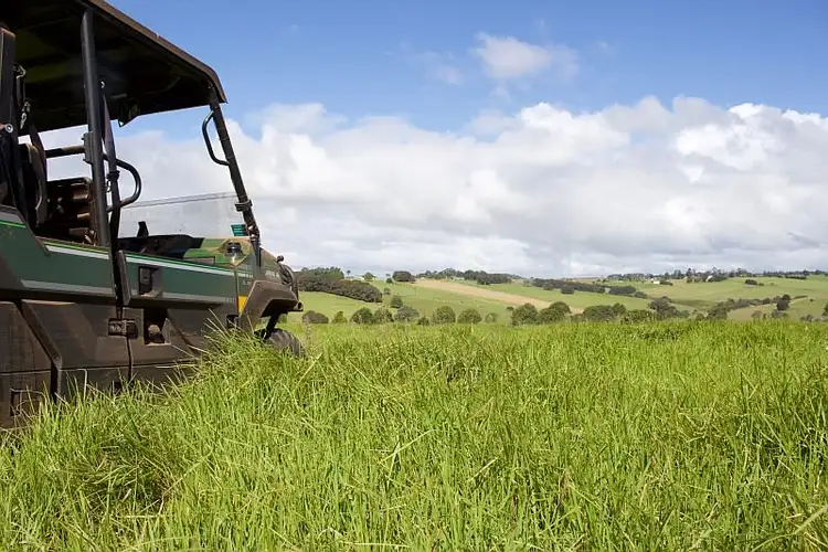 Second view of Homely rural property listing, 565 Old Coast Road, Dorrigo NSW 2453