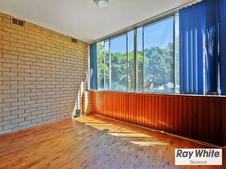 Third view of Homely apartment listing, 14 115 Alt Street, Ashfield NSW 2131