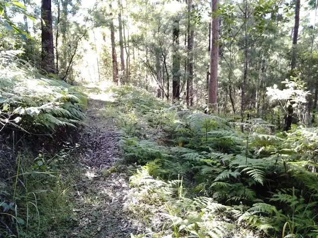 Second view of Homely land listing, 11 Barmark Court, Tallebudgera Valley QLD 4228