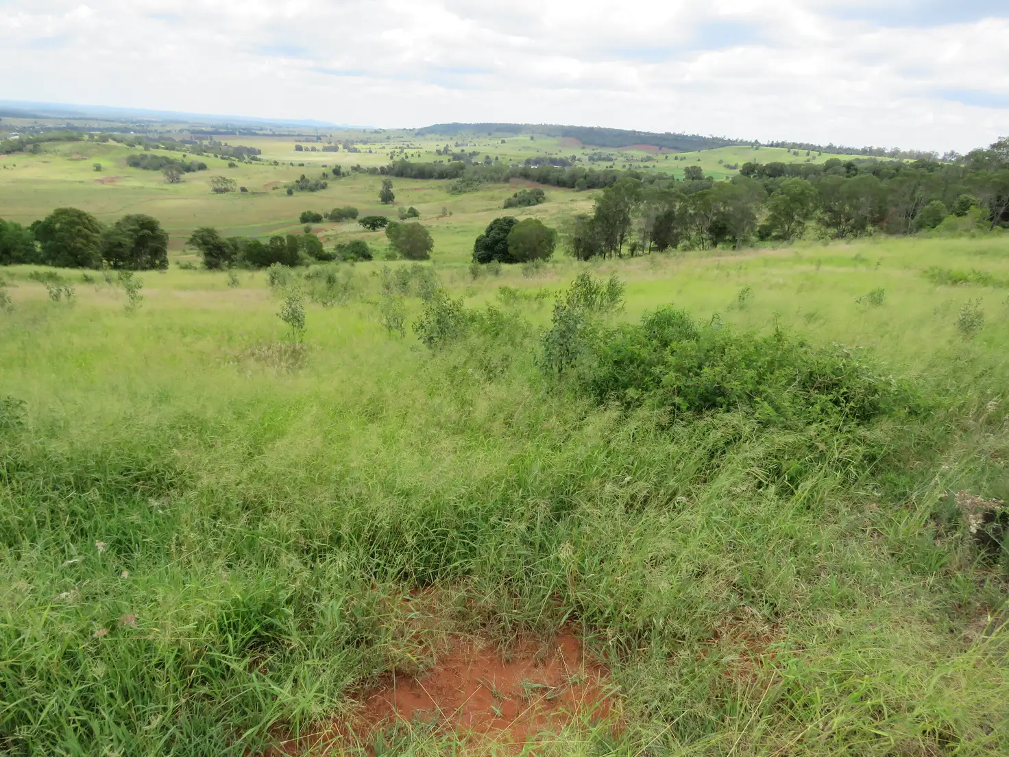 Main view of Homely rural property listing, Address available on request
