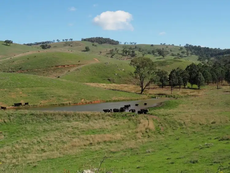 Second view of Homely rural property listing, Address available on request