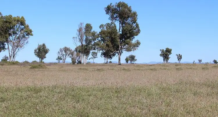 Fifth view of Homely rural property listing, Palari Sullivan's Road, Springsure QLD 4722
