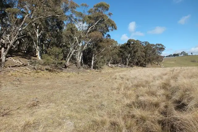 Fourth view of Homely rural property listing, 1002 Sewells Creek Road, Oberon NSW 2787