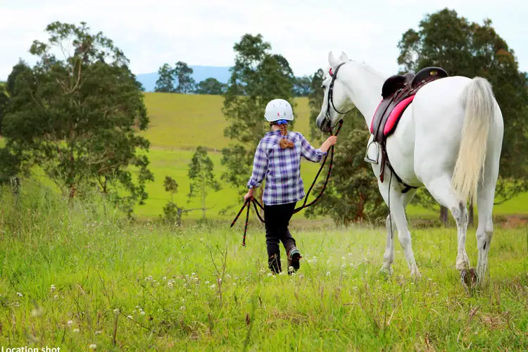 Second view of Homely land listing, 11 Paperbark Drive, Clarence Town NSW 2321