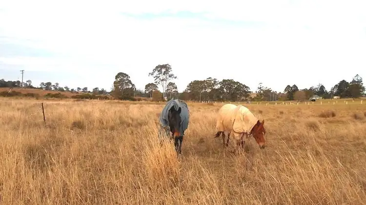 Third view of Homely rural property listing, Lot 10 Yarraman Tarong, Yarraman QLD 4614