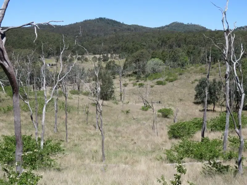 Main view of Homely rural property listing, L58,65,69 Brothers Road, Emu Creek QLD 4355