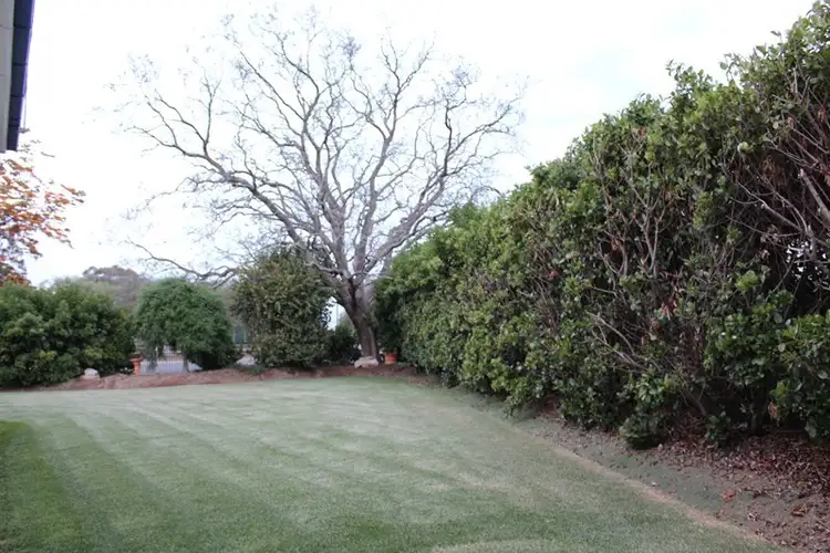 Fourth view of Homely house listing, 9 Briggs, Pittsworth QLD 4356