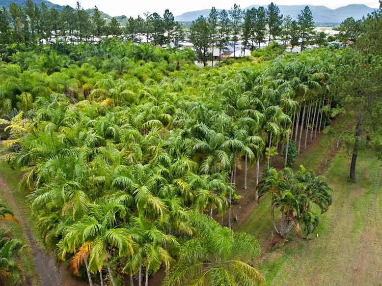 Fifth view of Homely other listing, Lot 1 Mill Road, Edmonton QLD 4869