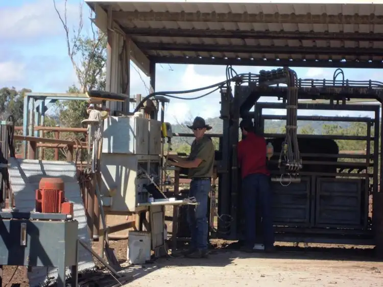 Sixth view of Homely rural property listing, 629 Rodgers Creek Road, Warwick QLD 4370