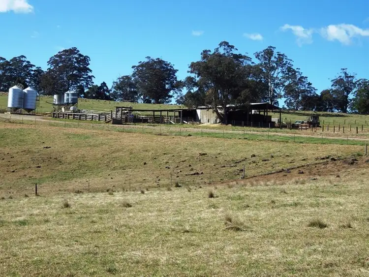 Fourth view of Homely rural property listing, 302 Cedar Log Road, Dorrigo NSW 2453