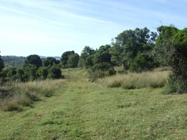 Fourth view of Homely rural property listing, 1191 Djuan Road, Haden QLD 4353