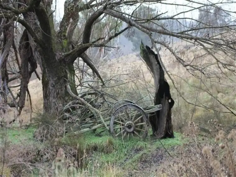 Fifth view of Homely rural property listing, 1362 Bald Ridge Road, Burraga NSW 2795