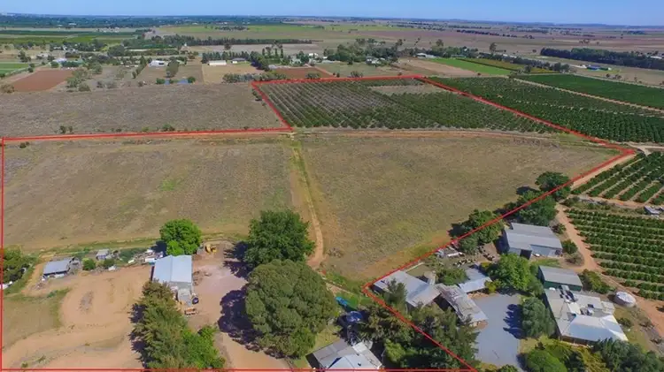 Third view of Homely house listing, 161 Cassia Road, Leeton NSW 2705
