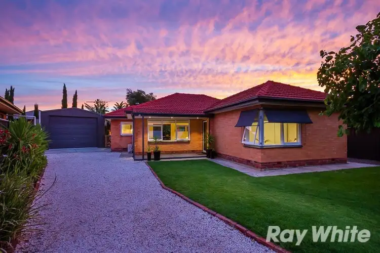 8 Terra Avenue, Mitchell Park SA 5043