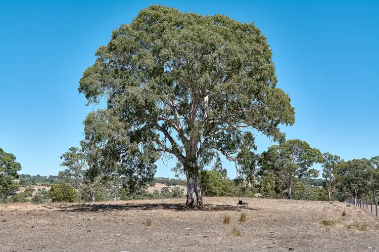 Fourth view of Homely land listing, Lot 2 Ironstone Range Road, Nairne SA 5252