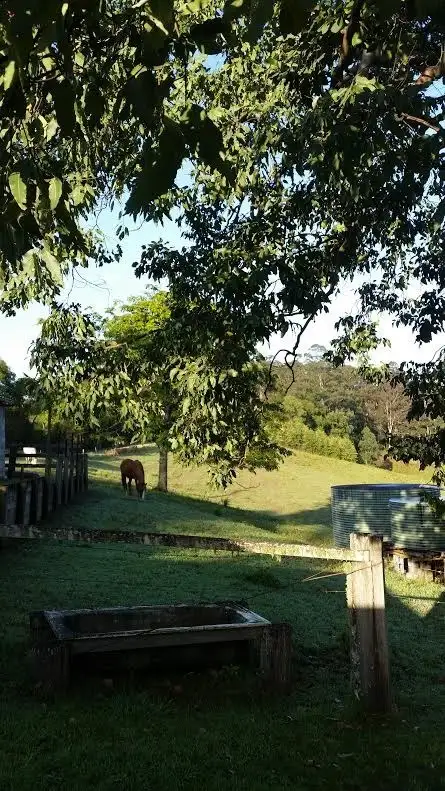 Second view of Homely rural property listing, 1831 Hannam Vale Road, Lorne NSW 2439