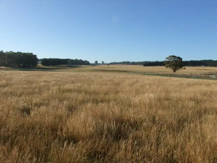 Seventh view of Homely rural property listing, Address available on request