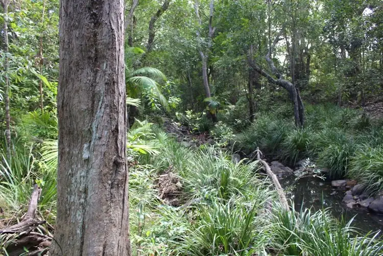 Seventh view of Homely land listing, 80 School Road, The Gap QLD 4061