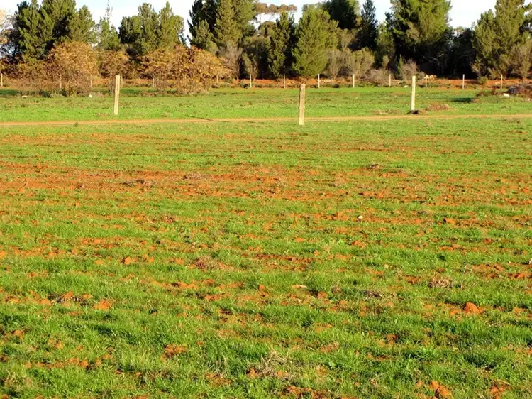 Fourth view of Homely land listing, 18 and 19 Tunkin Road, Barmera SA 5345