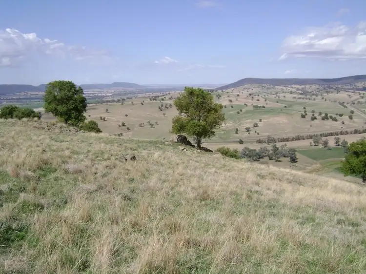 Third view of Homely rural property listing, 16 Warrendale Road, Koorawatha NSW 2807