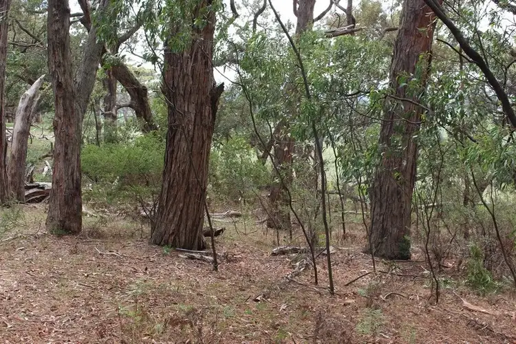 Fifth view of Homely land listing, Lot 4 and 5 Rarkang Road, Silverton SA 5204