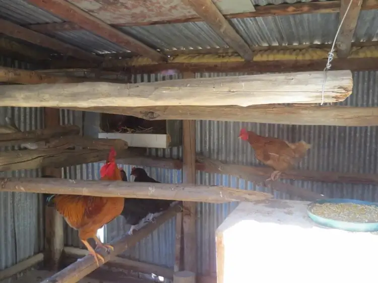 Fifth view of Homely rural property listing, 3710 Frogmore Road, Hovells Creek NSW 2794