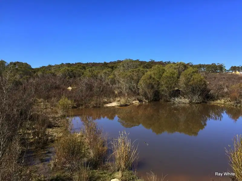 Main view of Homely rural property listing, 43 Tee Tree, Bombay NSW 2622