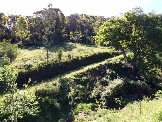 Seventh view of Homely rural property listing, 821 Mitta North Road, Eskdale VIC 3701