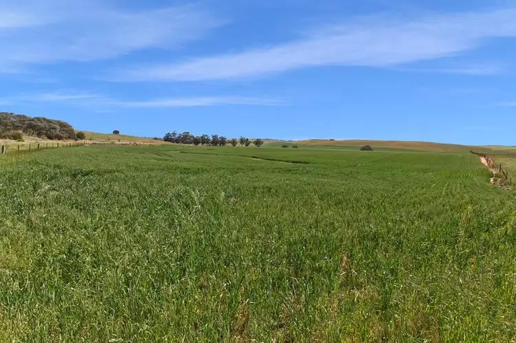 Sixth view of Homely rural property listing, Kilarney St Johns, Kapunda SA 5373