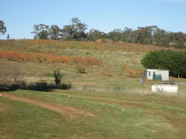Third view of Homely land listing, 876 Boundary Road, Young NSW 2594